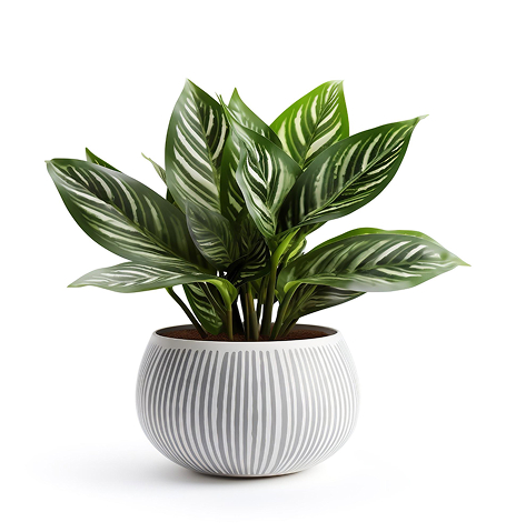 Startseite dessert bloom